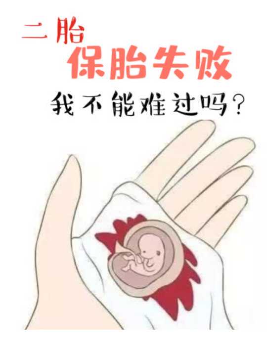 供卵试管婴儿一般15几万,供卵试管婴儿一般要多少钱