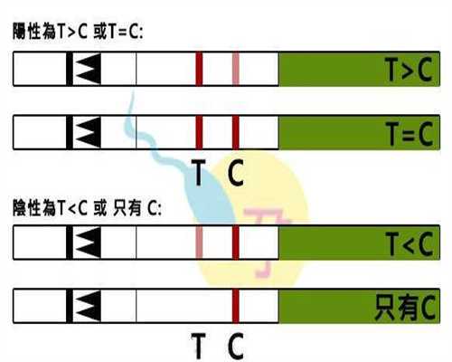 天津助孕产子需多钱,1胚胎质量好的征兆